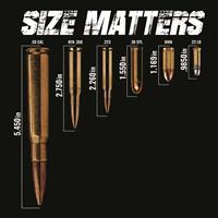 Size Matters graphic