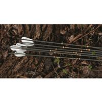 Benjamin Airbow M Series Arrows
