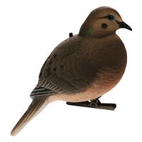 Avian-X Full Body Dove Decoys, 6 Pieces