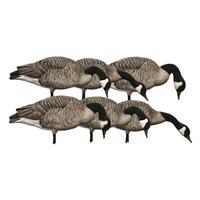 Avian-X AXP Honkers Feeder Pack Goose Decoys