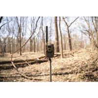 Muddy Matrix 36MP Dual Network Cellular Trail/Game Camera Bundle w/SD Card & Batteries