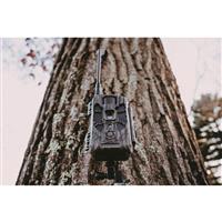 Stealth Cam Deceptor Max 2.0 AI 40 Live Streaming Cellular Trail Camera, 2 Pack