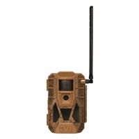 Dual Carrier Auto Connect for reliable signal