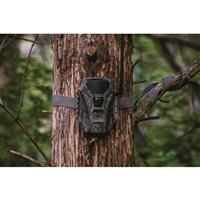 Wildgame Innovations Terra XT 2.0 Cellular Trail Camera, 3 Pack