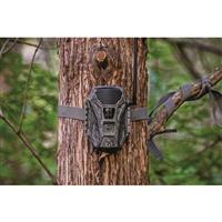 Wildgame Innovations Terra XT 2.0 Cellular Trail Camera