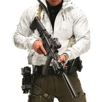 Holosun ARO EVO Gold Dot Sight, SPR Reticle, 1X