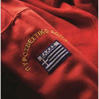 Embroidered branch information and insignia