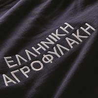 Embroidered branch information and insignia