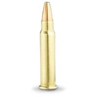 TNT Hollow Point Bullet