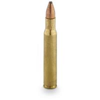 .30-06 Sprg.®  125 Grain PSP Ammo 