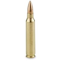 .223 55 grain FMJ bullet