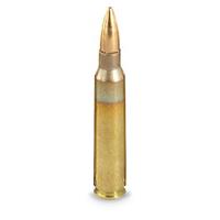.223 (5.56x45mm) 55 Grain FMJ bullet