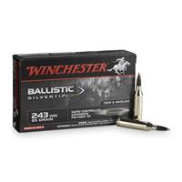 Winchester Supreme Ballistic Silvertip, .243 Winchester, BST, 95 Grain ...