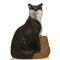 Delta McKenzie Rock Rascals Fox Target