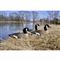 Includes 1 relaxed sentry, 2 preener and 3 resting Decoys 