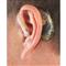 Walker's Ultra Ear Hearing Enhancer, 2 Pack