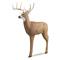 Shooter Buck™ 3D Archery Target, Slight Cosmetic Blemish