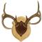 Walnut Hollow&reg; Oak Antler Mount, Pine