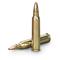 50-gr. jacketed hollow point bullet
