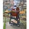 Browning® Ceramic Grill - 212434, Grills & Smokers at Sportsman's Guide