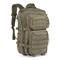 MOLLE-compatible webbing, Olive Drab