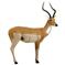 Delta® McKenzie® African Impala 3D Archery Target