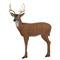 Delta® McKenzie® Pinnacle Medium 3D Deer Archery Target
