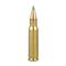 110 grain PTS polymer-tip bullet delivers high velocity and flat trajectory, and won't shatter