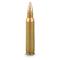 .223 PMC® 55 grain FMJ bullet