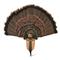 Walnut Hollow Oak Full Fan Turkey Fan Mount Kit
