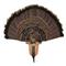 Walnut Hollow Oak Strutter Turkey Fan Mount Kit