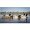Higdon® Foam-filled Battleship Mallard Decoys with Flocked Heads, 6 Pack