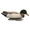 Higdon® Foam-filled Battleship Mallard Decoys with Flocked Heads, 6 Pack
