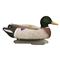 Higdon® Foam-filled Battleship Mallard Decoys with Flocked Heads, 6 Pack