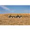 Higdon® Magnum Half Shell Canada Goose Decoys, 6 Pack