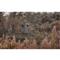 Guide Gear 2-Man Universal Tower Hunting Blind