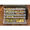 5 tray capacity