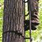 Deep and wide ladder rungs
