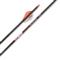 Guide Gear Trophy Hunter Pro Arrows by Victory Archery, 12 Pack