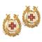Italian Military Surplus Medic Badges, 2 Pack, New