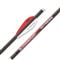 Bloodsport Witness 20" Crossbow Bolts, 6 Pack