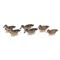 Flambeau Storm Front Blue Winged Teal Decoys, 6 Pack
