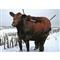 Montana Decoy Big Red Cow