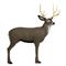 Delta McKenzie Mule Deer 3D Archery Target