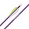 Easton Aluminum Genesis Arrow, Purple