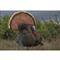 Flambeau King Strutter Turkey Decoy