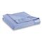 Shavel Home Products All Seasons Blanket, Morning Glory
