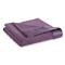 Shavel Home Products All Seasons Blanket, Plum