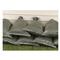 Swiss Military Surplus Sand Bags, 10 Pack, New