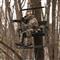 Rivers Edge Twoplex 17' 2-Man Ladder Tree Stand